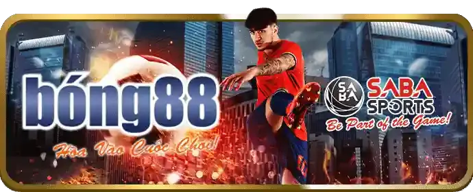 Tin tức thị trường cá cược